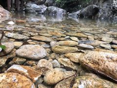 -祁门牯牛降观音堂风景区