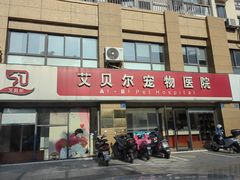 -艾贝尔宠物医院 ·内科全科(梁溪路店)
