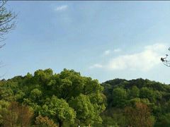 -团城山公园