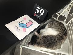 -UNI UNI(环亚凯瑟琳店)