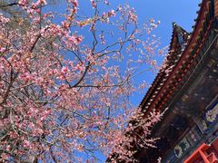 -五台山风景区