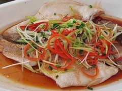 -鸽子窝(青塔店)