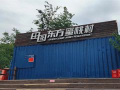 -田园东方蜜桃村的田野营地