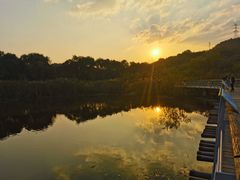 -西湖风景区-江洋畈生态公园