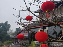 -峨眉山报国寺