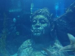 -暹罗海洋世界