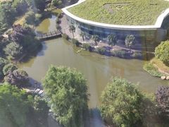 -南阳建业森林半岛假日酒店