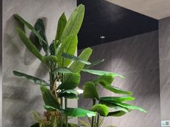 -巧克力渔家.小船海鲜胶东菜(三浴场店)