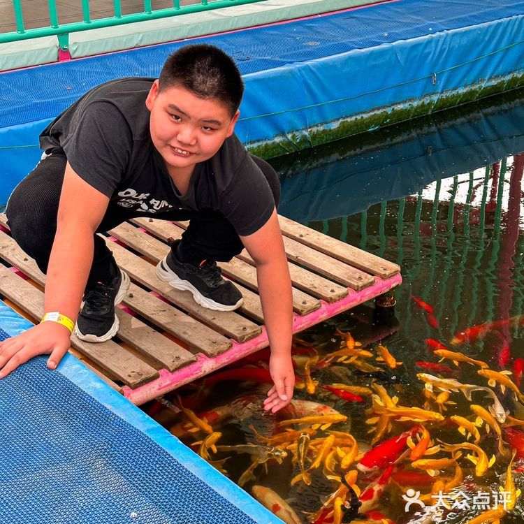 北京周末遛娃好去处,捞鱼挖沙子吃自助