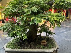-河内西湖莲花自助餐厅