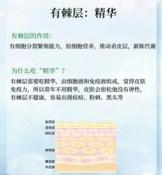 点击看大图 -玛莲朵·海菲秀冰珀科