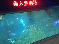 -福州罗源湾海洋世界旅游区