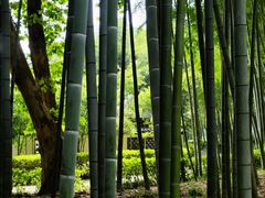 -兰亭风景区