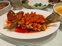松鼠桂鱼-洋洋中餐馆·SINCE 1997(龙湖星湖天街店)