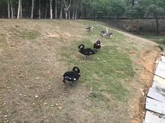 -艾溪湖湿地公园