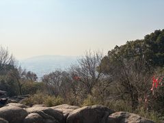 -灵岩山风景区