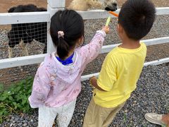 -大连铭湖国际观光牧场