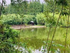 -黄海国家森林公园