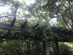 -荆川公园