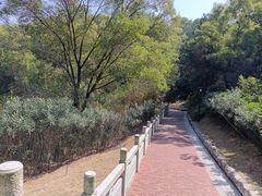 -四望岗公园