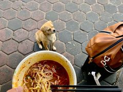 -清真白建强牛肉面(金雁花园店)