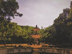 -环球公园