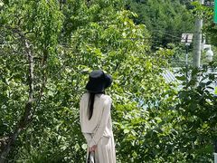 -王顺山国家森林公园