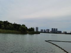 -桐乡凤凰湖