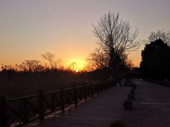 -西溪国家湿地公园