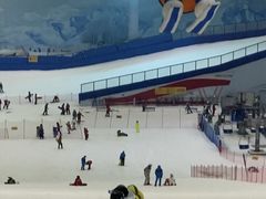 -哈尔滨热雪奇迹