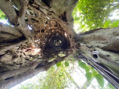 -华南国家植物园-售票处