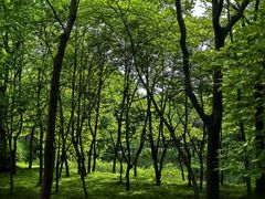 -宜兴龙背山森林公园