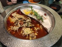 -麻田会 ·鲜活现烹·牛蛙火锅(珠江新城维家思广场店)