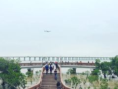 -宝安西湾红树林湿地公园