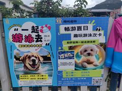 -趣玩宠物乐园寄养训犬训狗游泳池