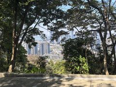 -小南山公园