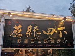 -蘑统田下·野生菌火锅