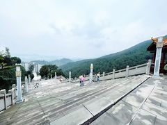 -铁山坪森林公园