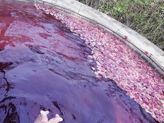 -咸宁万豪温泉谷度假区