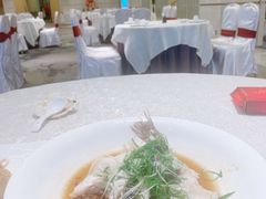 -海皇食府(水都假日酒店店)