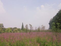 -贵阳市花溪国家城市湿地公园