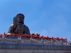 -龙口南山旅游景区