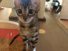 -Me Coffee下午茶艺术空间