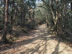 -虞山风景区