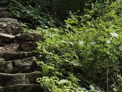 -青峰峡国家森林公园