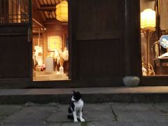 -法云安缦酒店
