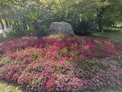 -上海交通大学(闵行校区)