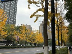 -重庆鸡公煲(学源街店)