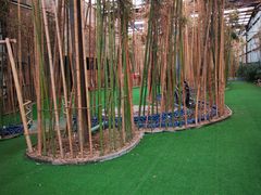 -呀路古热带植物园