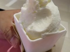 -野人先生现做冰淇淋(北京环宇荟店)